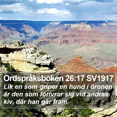 Ordspråksboken 26:17 SV1917 Bible Verse Image