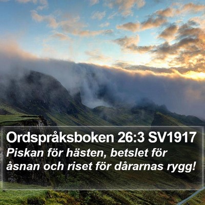 Ordspråksboken 26:3 SV1917 Bible Verse Image