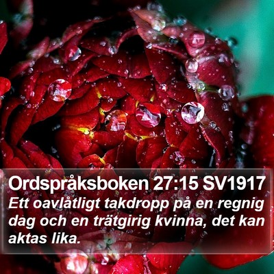 Ordspråksboken 27:15 SV1917 Bible Verse Image