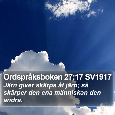 Ordspråksboken 27:17 SV1917 Bible Verse Image