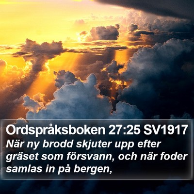 Ordspråksboken 27:25 SV1917 Bible Verse Image
