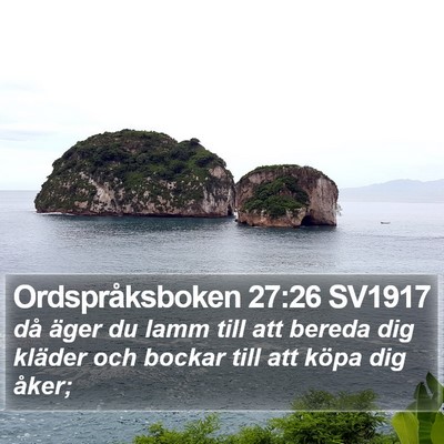 Ordspråksboken 27:26 SV1917 Bible Verse Image