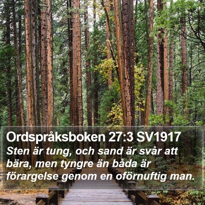 Ordspråksboken 27:3 SV1917 Bible Verse Image