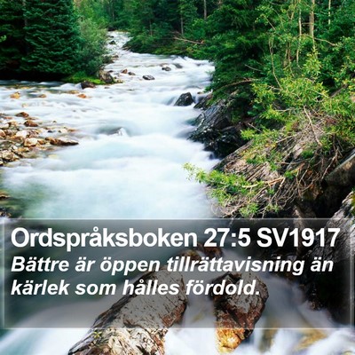 Ordspråksboken 27:5 SV1917 Bible Verse Image