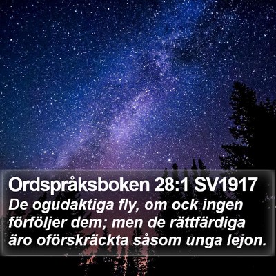 Ordspråksboken 28:1 SV1917 Bible Verse Image