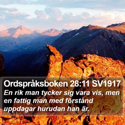 Ordspråksboken 28:11 SV1917 Bible Verse Image