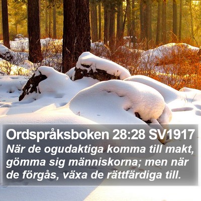 Ordspråksboken 28:28 SV1917 Bible Verse Image