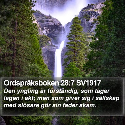 Ordspråksboken 28:7 SV1917 Bible Verse Image