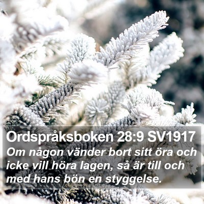 Ordspråksboken 28:9 SV1917 Bible Verse Image