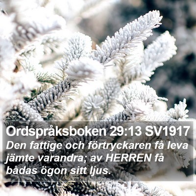Ordspråksboken 29:13 SV1917 Bible Verse Image