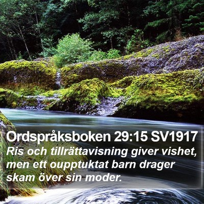 Ordspråksboken 29:15 SV1917 Bible Verse Image