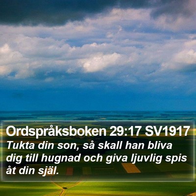 Ordspråksboken 29:17 SV1917 Bible Verse Image
