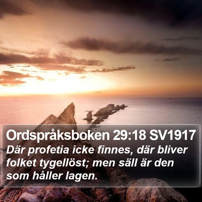 Ordspråksboken 29:18 SV1917 Bible Verse Image