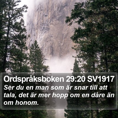 Ordspråksboken 29:20 SV1917 Bible Verse Image
