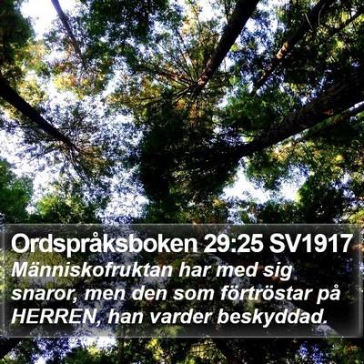Ordspråksboken 29:25 SV1917 Bible Verse Image