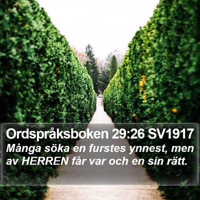 Ordspråksboken 29:26 SV1917 Bible Verse Image