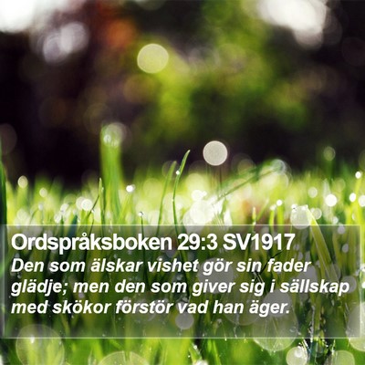 Ordspråksboken 29:3 SV1917 Bible Verse Image