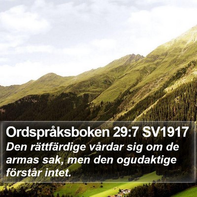 Ordspråksboken 29:7 SV1917 Bible Verse Image