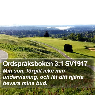 Ordspråksboken 3:1 SV1917 Bible Verse Image