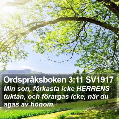 Ordspråksboken 3:11 SV1917 Bible Verse Image