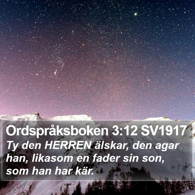 Ordspråksboken 3:12 SV1917 Bible Verse Image