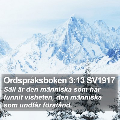 Ordspråksboken 3:13 SV1917 Bible Verse Image
