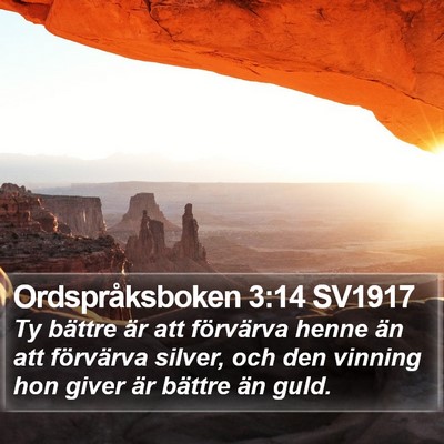 Ordspråksboken 3:14 SV1917 Bible Verse Image