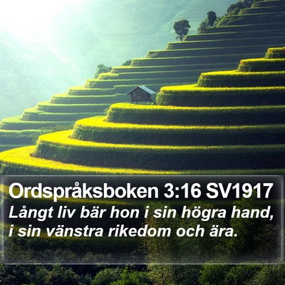 Ordspråksboken 3:16 SV1917 Bible Verse Image