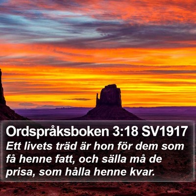 Ordspråksboken 3:18 SV1917 Bible Verse Image