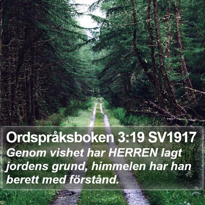Ordspråksboken 3:19 SV1917 Bible Verse Image