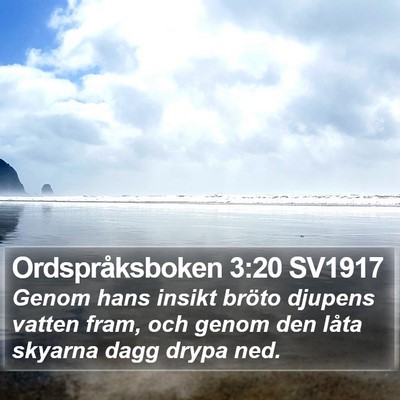 Ordspråksboken 3:20 SV1917 Bible Verse Image