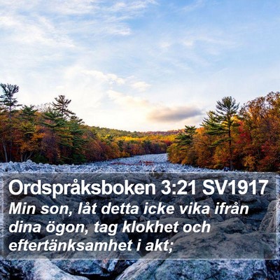 Ordspråksboken 3:21 SV1917 Bible Verse Image