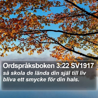 Ordspråksboken 3:22 SV1917 Bible Verse Image
