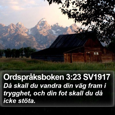 Ordspråksboken 3:23 SV1917 Bible Verse Image