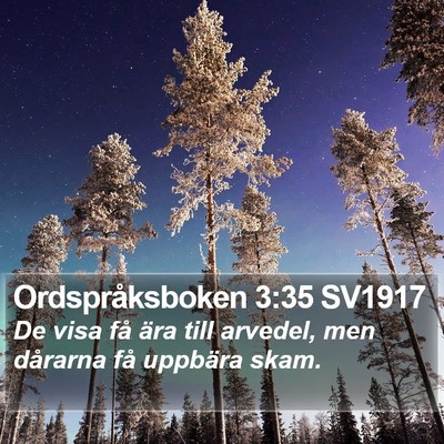 Ordspråksboken 3:35 SV1917 Bible Verse Image