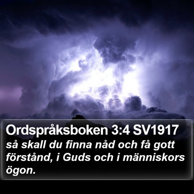 Ordspråksboken 3:4 SV1917 Bible Verse Image