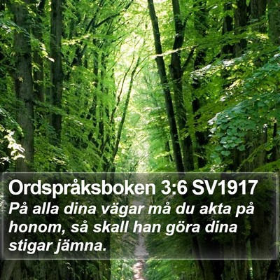 Ordspråksboken 3:6 SV1917 Bible Verse Image