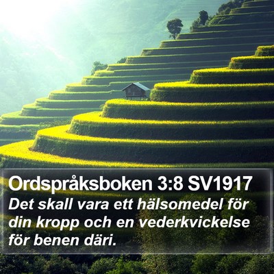 Ordspråksboken 3:8 SV1917 Bible Verse Image