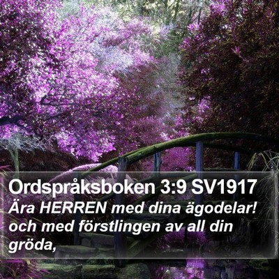 Ordspråksboken 3:9 SV1917 Bible Verse Image