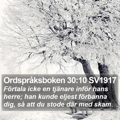 Ordspråksboken 30:10 SV1917 Bible Verse Image
