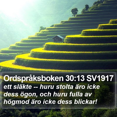 Ordspråksboken 30:13 SV1917 Bible Verse Image