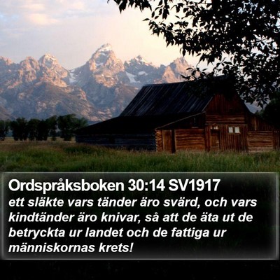 Ordspråksboken 30:14 SV1917 Bible Verse Image