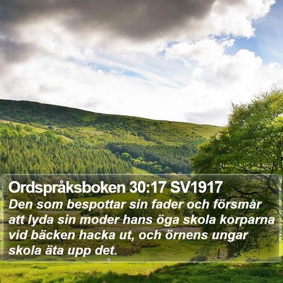 Ordspråksboken 30:17 SV1917 Bible Verse Image