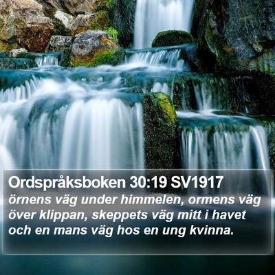 Ordspråksboken 30:19 SV1917 Bible Verse Image