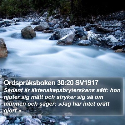 Ordspråksboken 30:20 SV1917 Bible Verse Image
