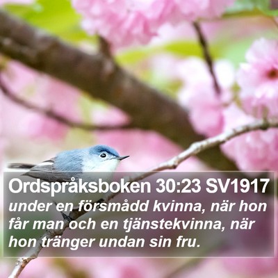 Ordspråksboken 30:23 SV1917 Bible Verse Image