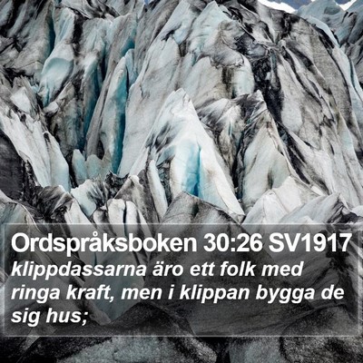 Ordspråksboken 30:26 SV1917 Bible Verse Image