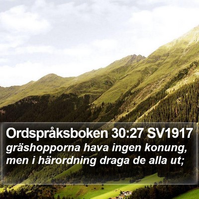 Ordspråksboken 30:27 SV1917 Bible Verse Image