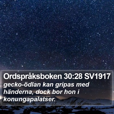 Ordspråksboken 30:28 SV1917 Bible Verse Image