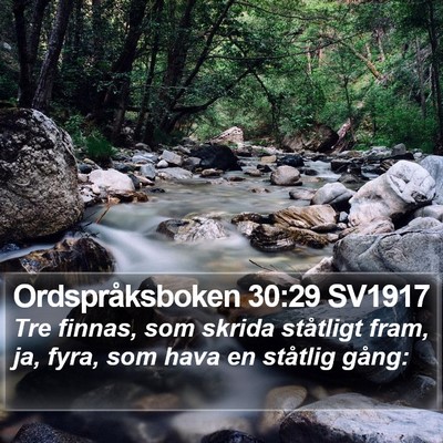 Ordspråksboken 30:29 SV1917 Bible Verse Image